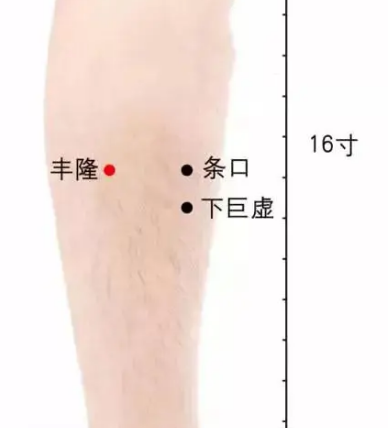 你體內(nèi)的濕氣，如何一步步化成脂肪？這里全說清楚了！