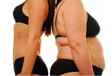 胖在哪里，病在哪里