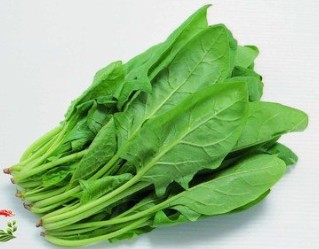 菠菜.jpg