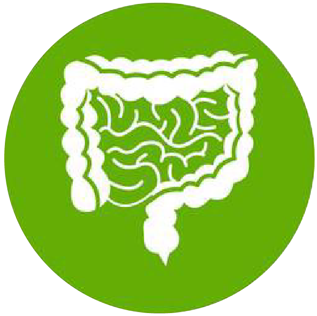 關(guān)注職場“腸”態(tài)，守護(hù)員工健康——上海格瑞特特邀消化內(nèi)科專家公益系列講座（4）(圖1)