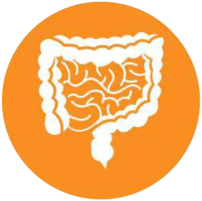 關(guān)注職場“腸”態(tài)，守護(hù)員工健康——上海格瑞特特邀消化內(nèi)科專家公益系列講座（4）(圖4)